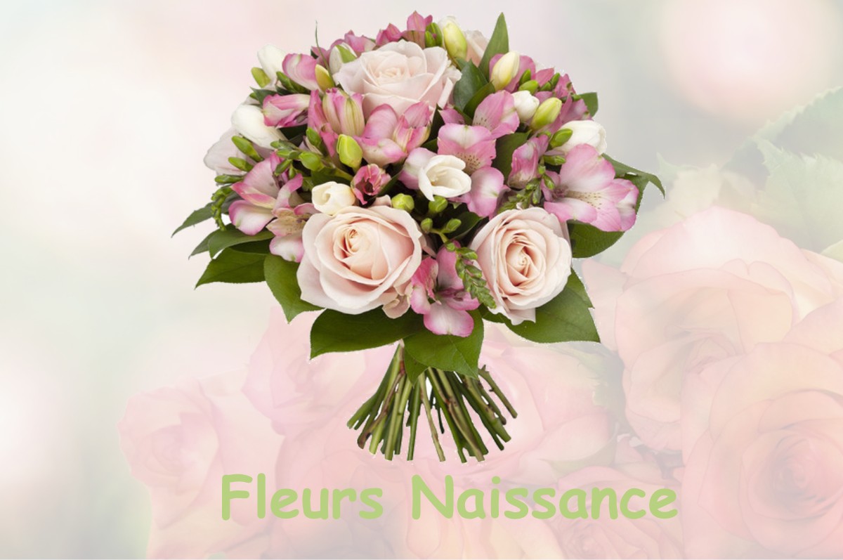 fleurs naissance DOMENE