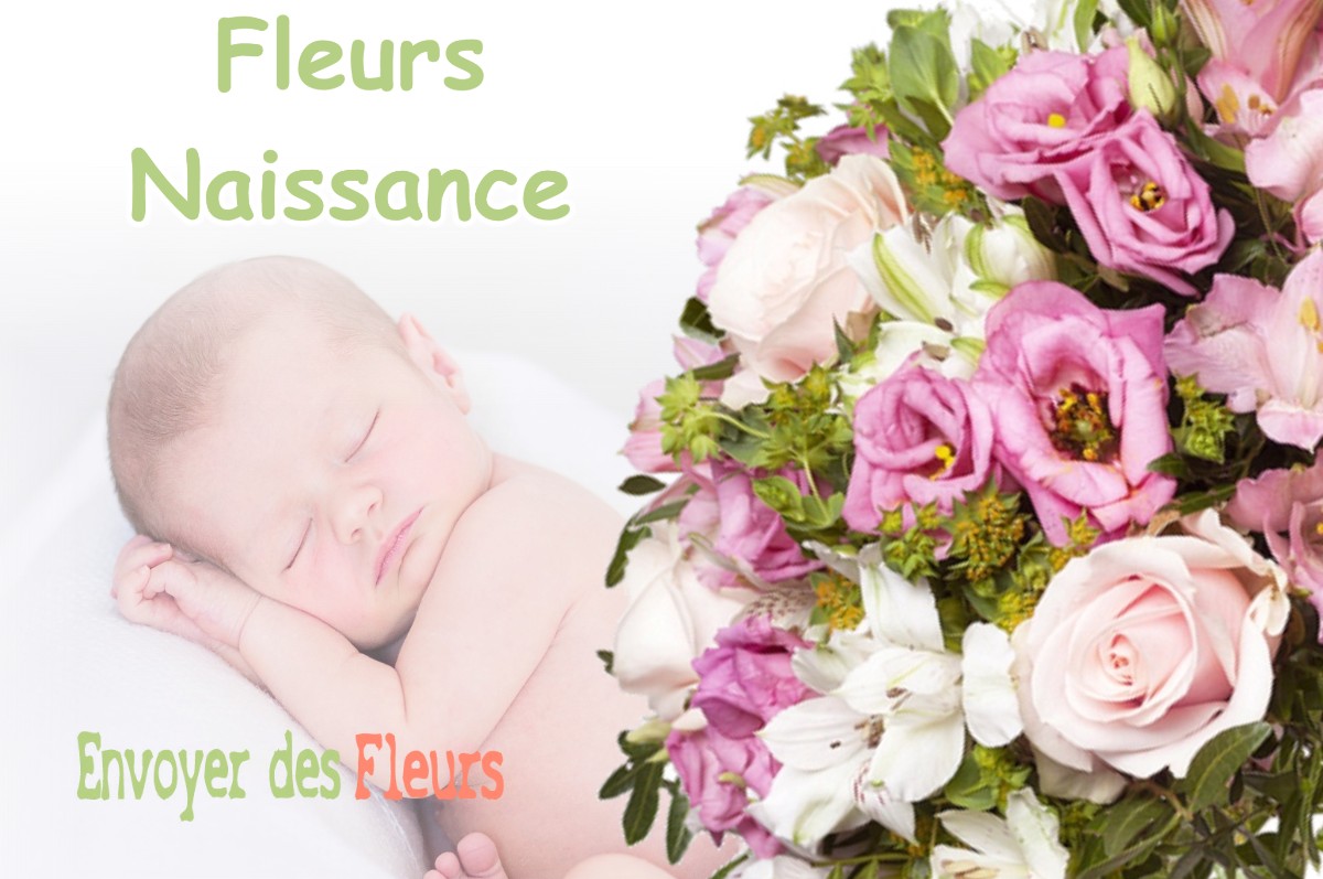 lIVRAISON FLEURS NAISSANCE à DOMENE